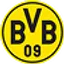 Borussia Dortmund flag